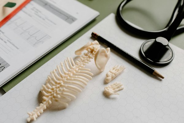 Transforming homes for seniors: innovative tips for boosting comfort and accessibility for individuals with hearing loss